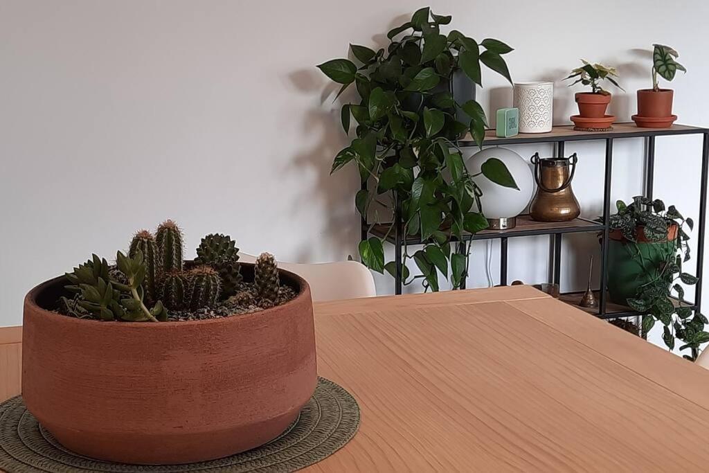 Soleado Apartamento Con Garaje Santander Bagian luar foto